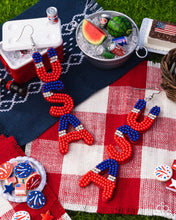 Load image into Gallery viewer, Pampered Patriot - Multi earring E043
