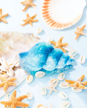 Load image into Gallery viewer, Smooth Seashell - Blue Claw Hair clip B090
