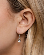 Load image into Gallery viewer, 2 PC Leopard Luminescence - Brown Mystery set MYRWD/Plastic
