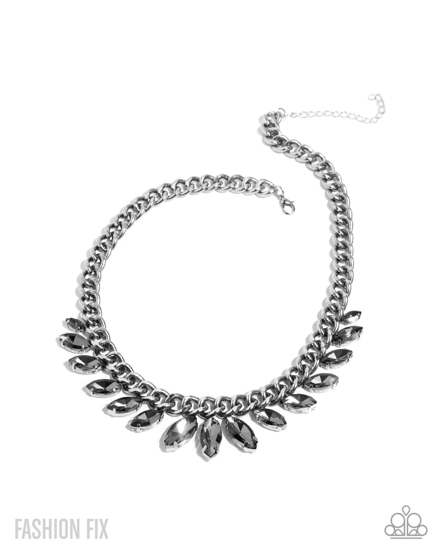 Elegant Exception - Silver necklace JULY 2025 FF E082