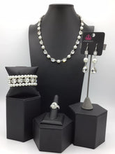 Load image into Gallery viewer, Fiercely 5th Avenue SET - JAN 2021 FF F009
