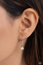 Load image into Gallery viewer, Fruity Flair - Multi necklace B097
